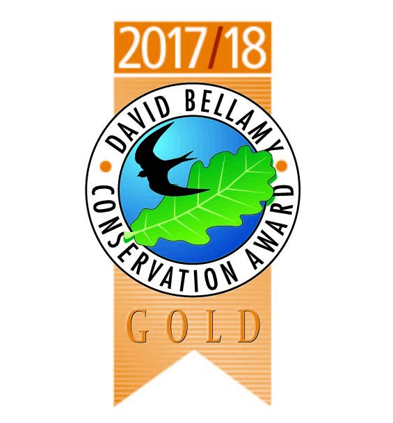 David Bellamy Conservation Gold Award